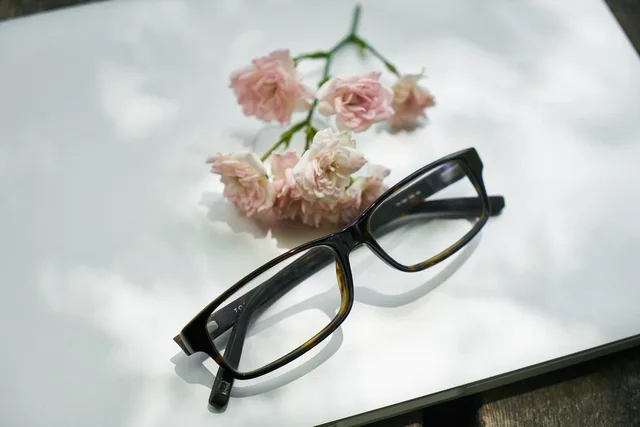 laptop, flower, nature, glasses, computer, work, technology, contact, beautiful flowers, internet, office, wireless, flower background, device, connection, flower wallpaper, digital, study, modern, web, mobile, media, design, electronic, project, romantic, to read, to see. Client portal vs email for US web design agencies: a working comparison