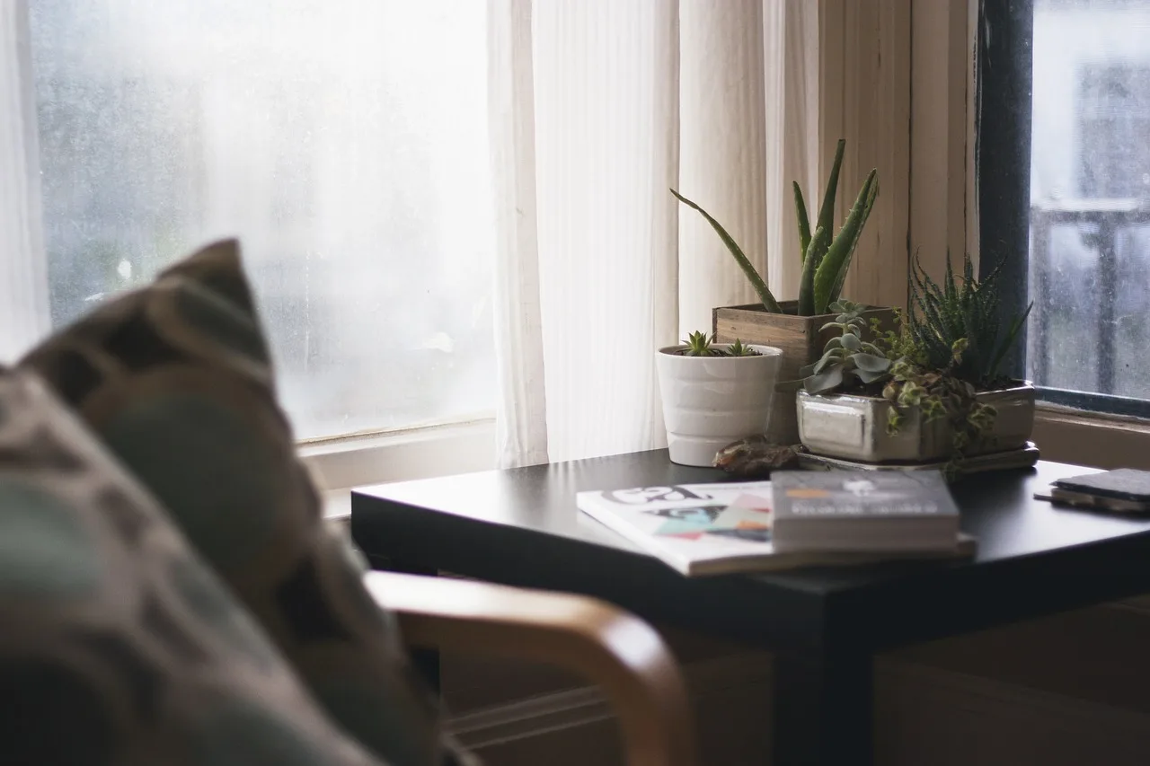home, nature, house, interior, design, living, bedroom, side, table, ceramic, pots, potted, plants, cactus, aloe. GST HST for web designers Canada: a clear guide