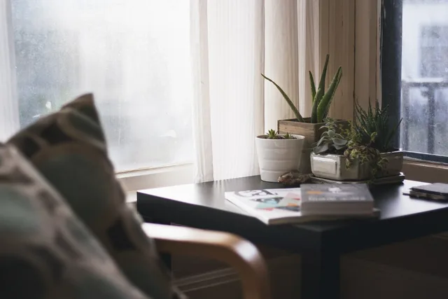 home, nature, house, interior, design, living, bedroom, side, table, ceramic, pots, potted, plants, cactus, aloe. GST HST for web designers Canada: a clear guide